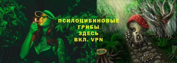тгк Арсеньев