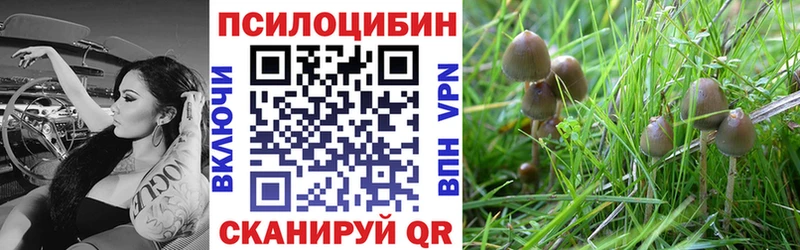Галлюциногенные грибы мицелий  Хадыженск 