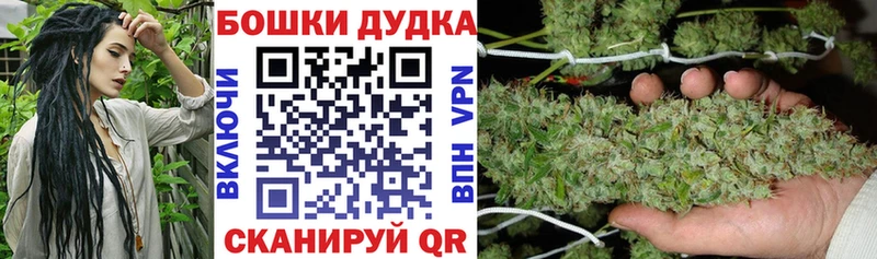 продажа наркотиков  кракен как войти  Бошки марихуана ГИДРОПОН  Хадыженск 